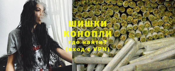 дмт Заводоуковск